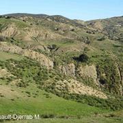Bad-lands (région de Guelma, Algérie) – érosion par ruissellement.