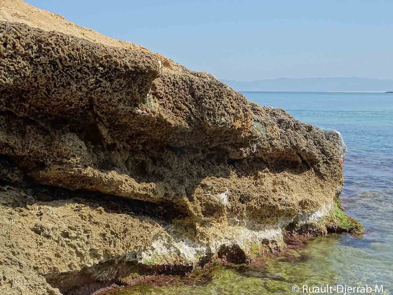 Grès de plage ou ‘beach rock’ (plage d’El Marsa, Algérie).