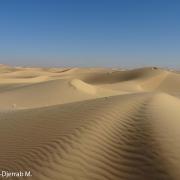 Dunes et rides de sable (région de Ouargla, Algérie) – exemple de sédimentation éolienne.