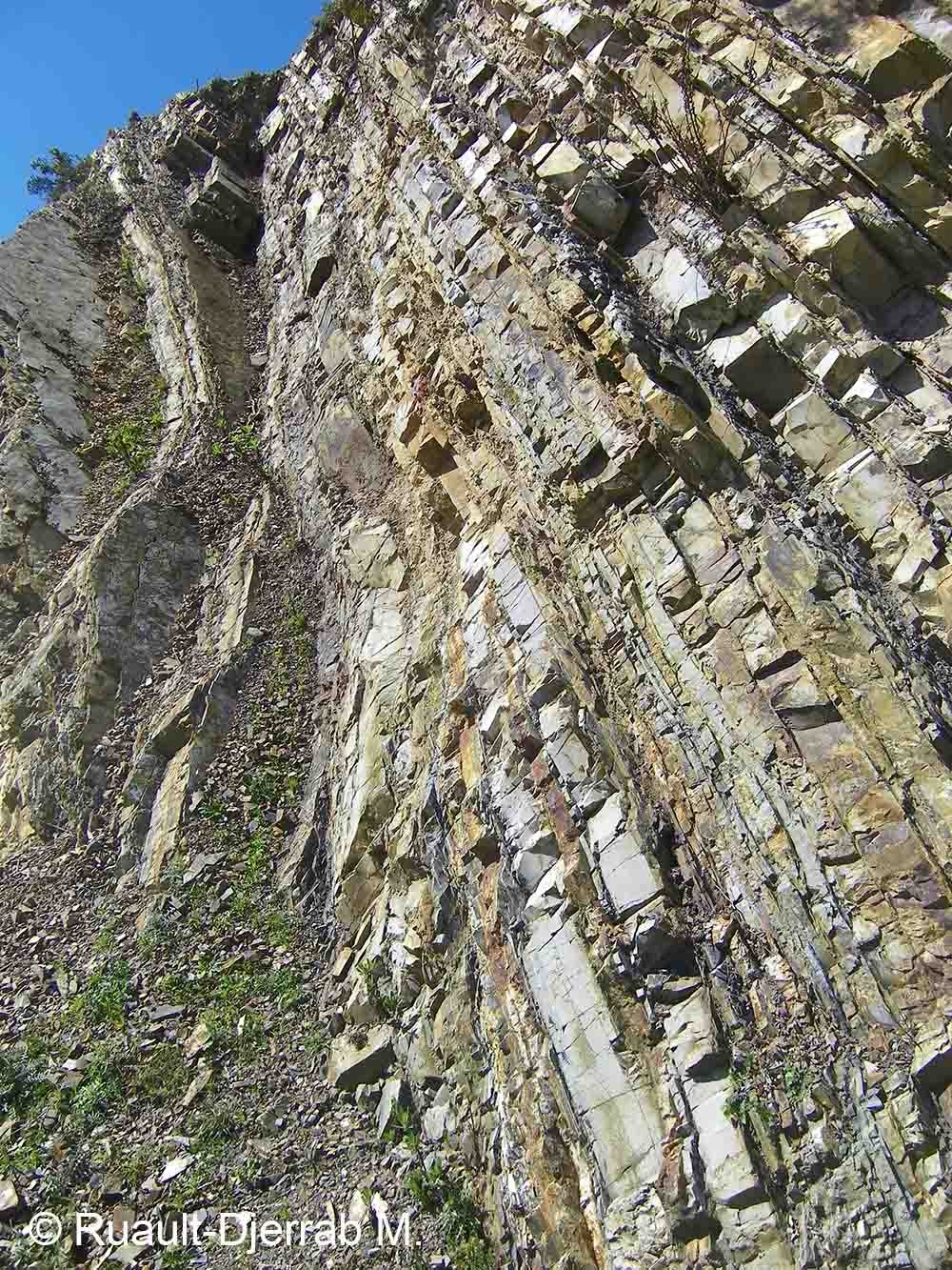 Flysch (region de Chetaibi, Algérie).