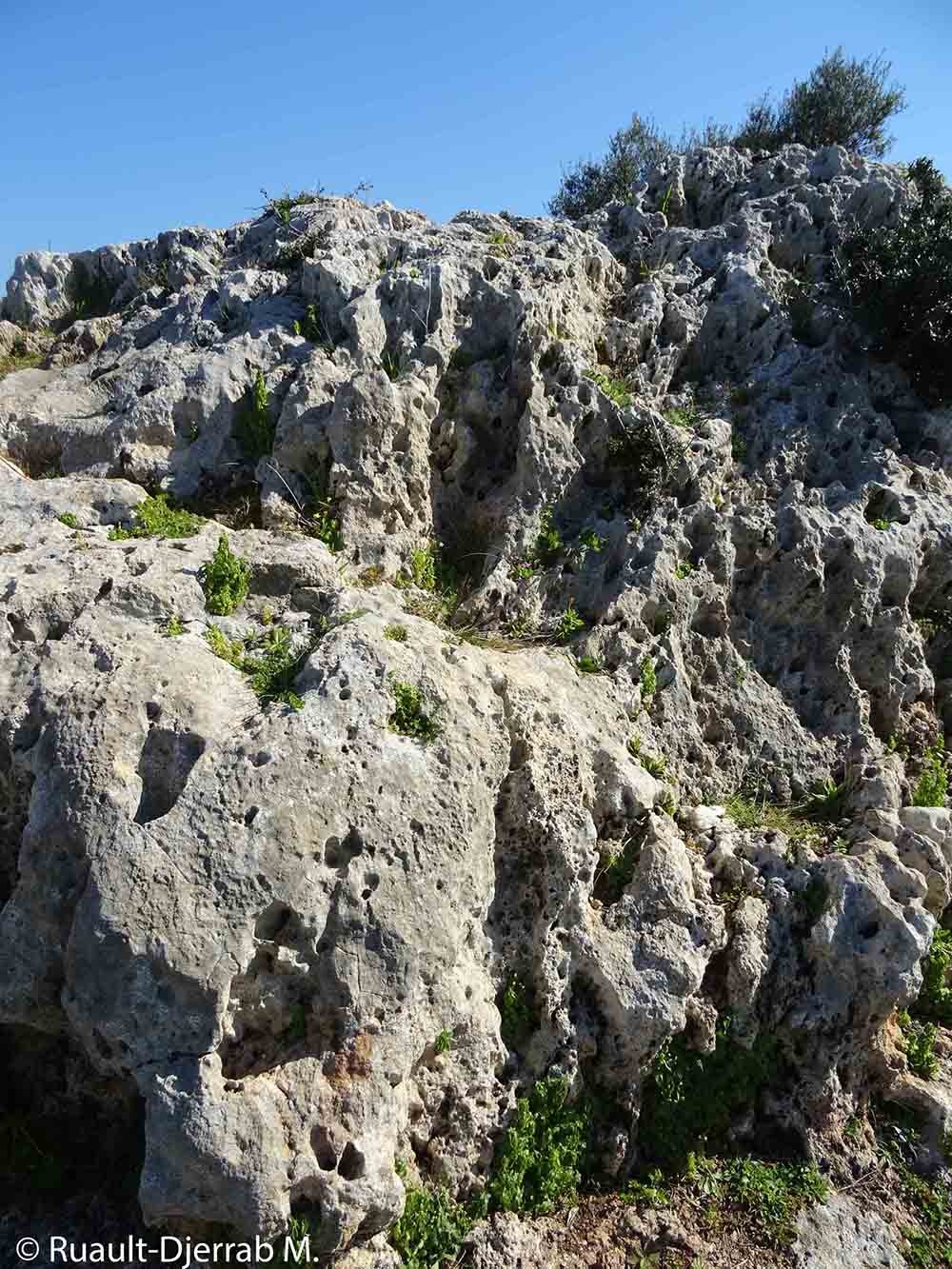 Lapiez (région de Guelma, Algérie) – érosion par ruissellement sur roches calcaires.