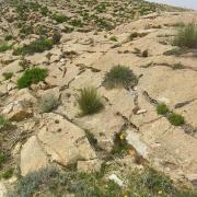 Lapiez (région de Tébessa, Algérie) – érosion par ruissellement sur roches calcaires.