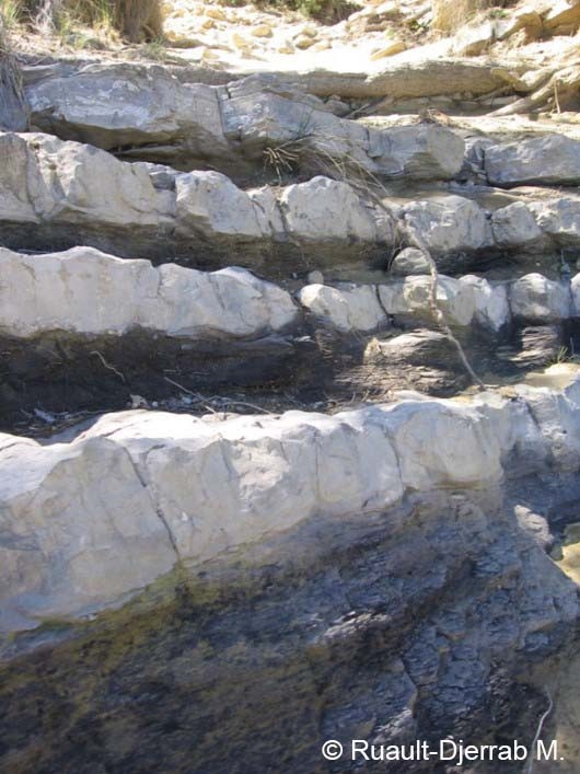 Affleurement de marnes (sombres) et de calcaire (clair). (Région de Tébessa, Algérie)