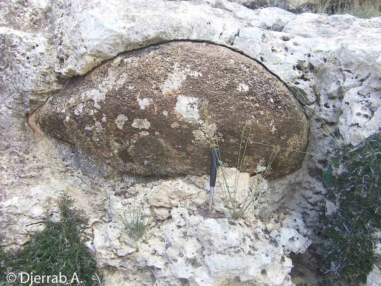 Illustration du principe d’inclusion en stratigraphie (Djebel Dyr, Tébessa, Algérie).