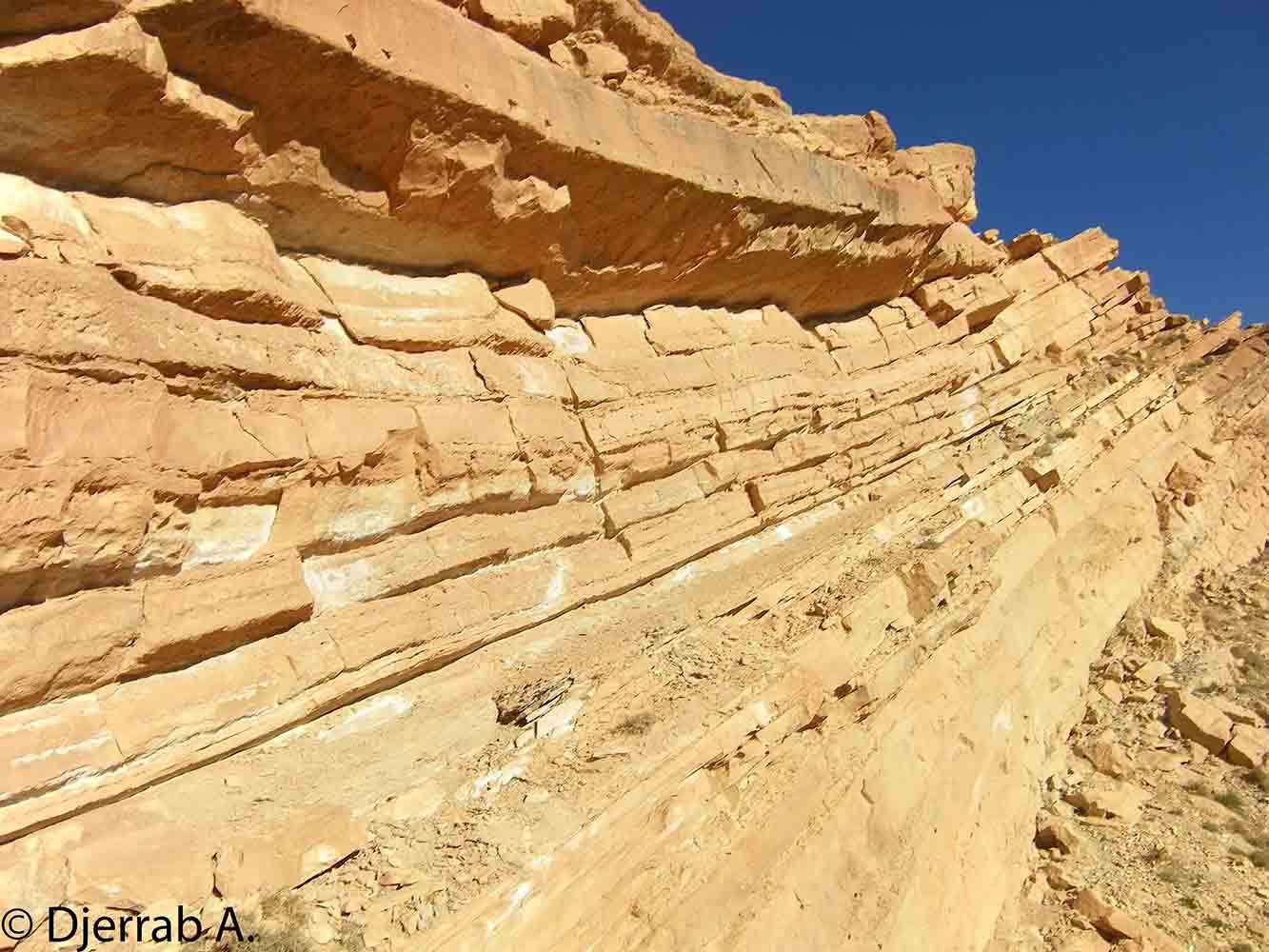 Strates dans des roches carbonatées (région de Djelfa, Algérie).