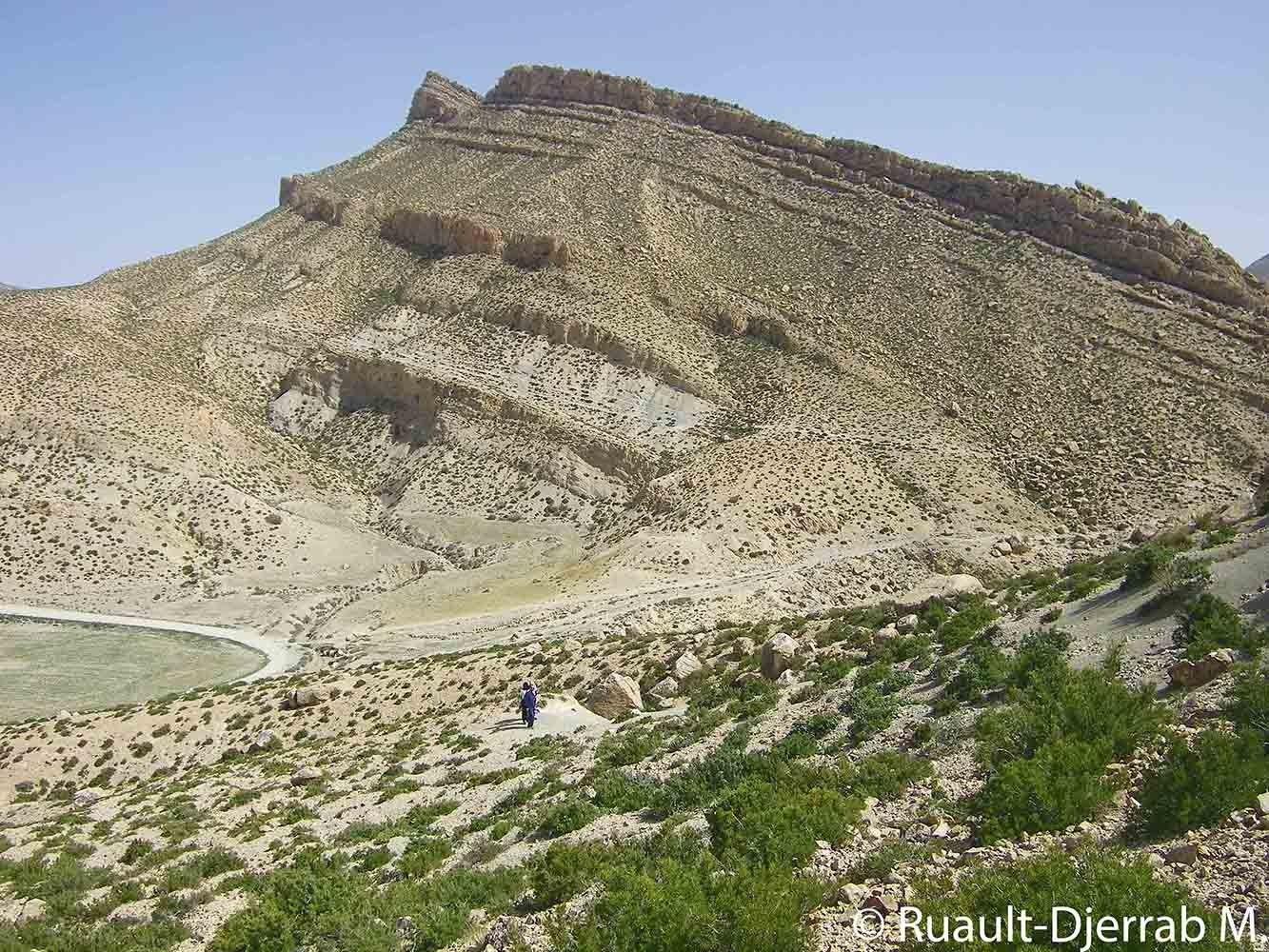 Alternance de marnes (en creux) et de calcaire (en relief) (région de Tébessa, Algérie).