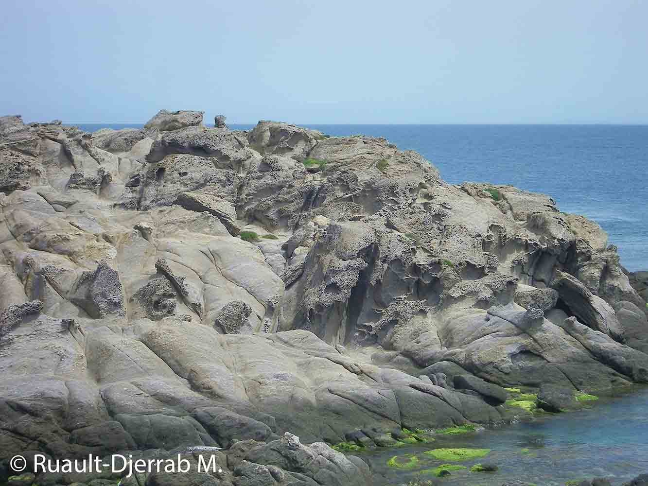 Taffonis (Cap de Garde, Annaba, Algérie). Exemple 1.