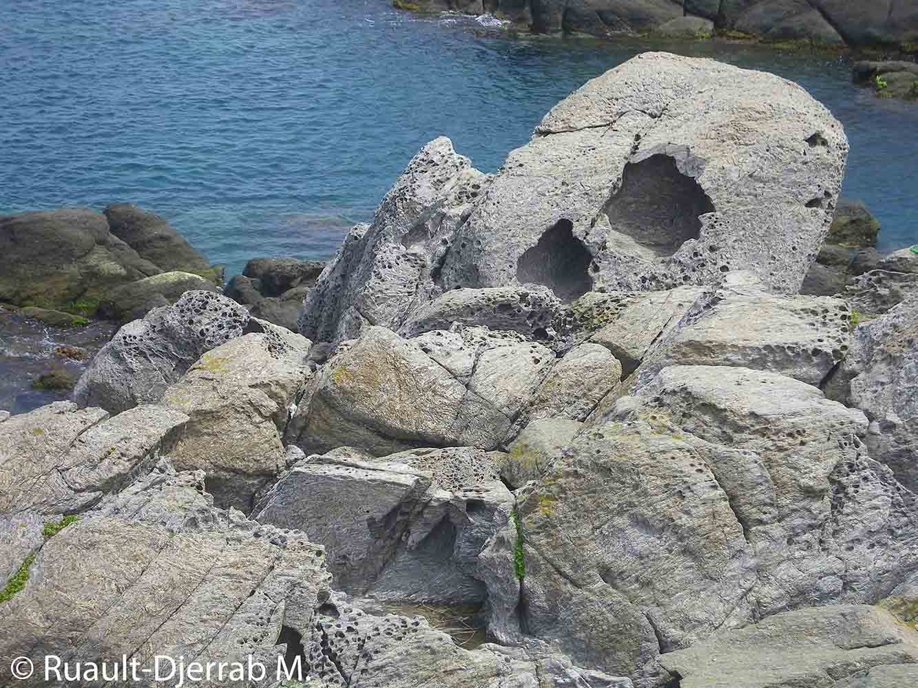 Taffonis (Cap de Garde, Annaba, Algérie). Exemple 2.