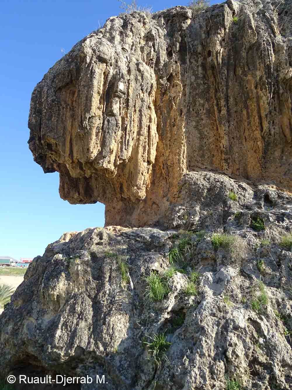 Travertin – Dépôt de source chaude (ancien). Hammam Debagh, Algérie.