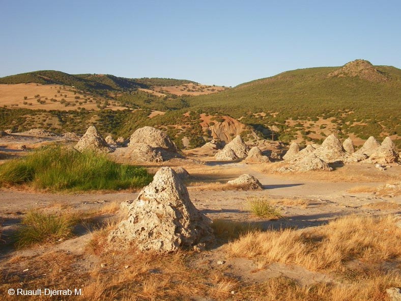 Travertin – Dépôt de source chaude (ancien). Hammam Debagh, Algérie.