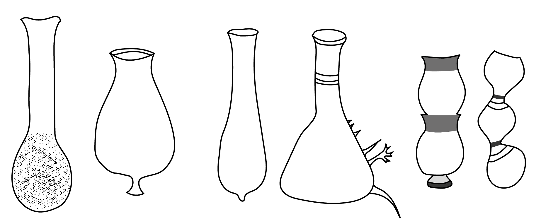 12 chitinozoaires