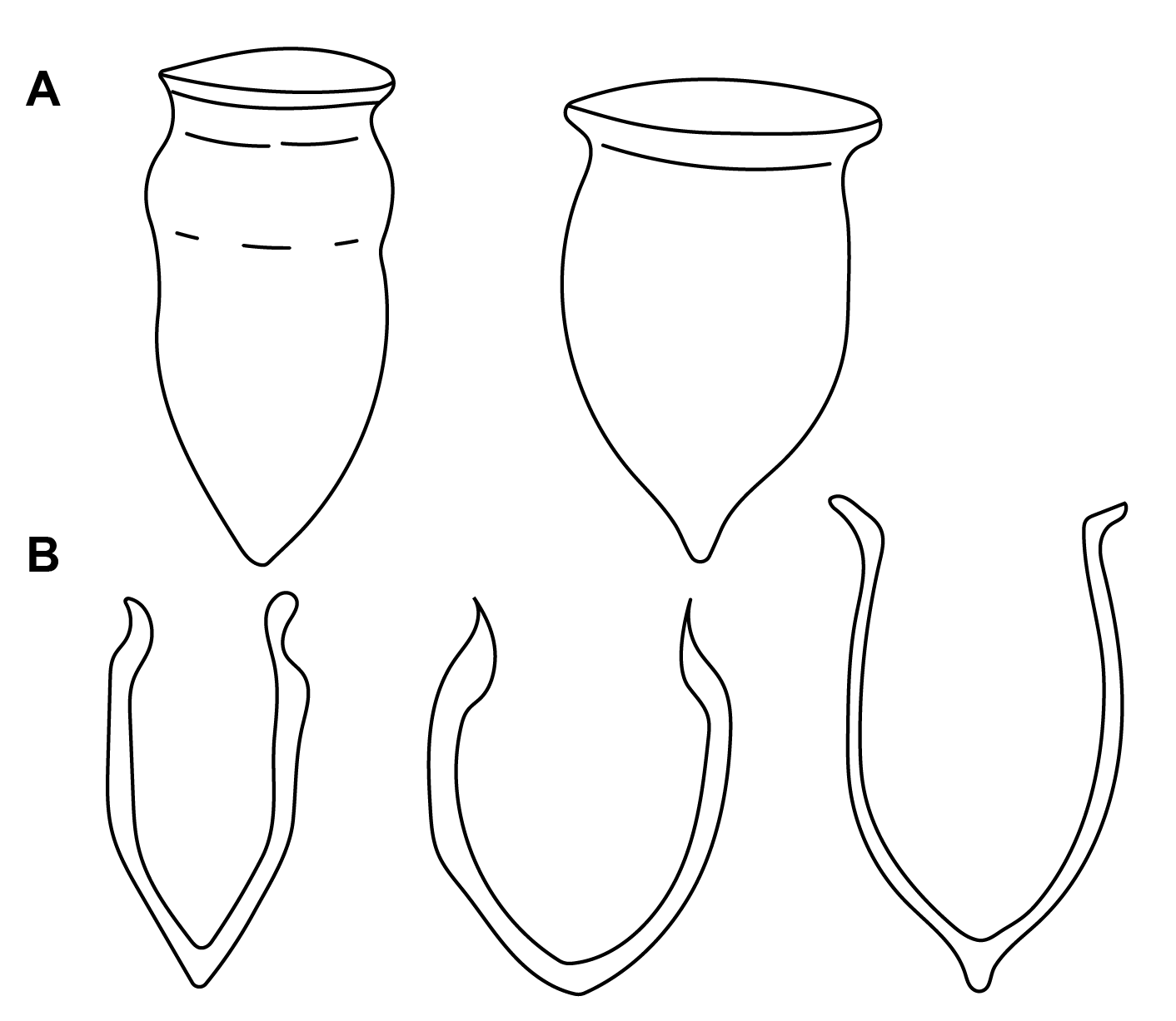 5 calpionelle