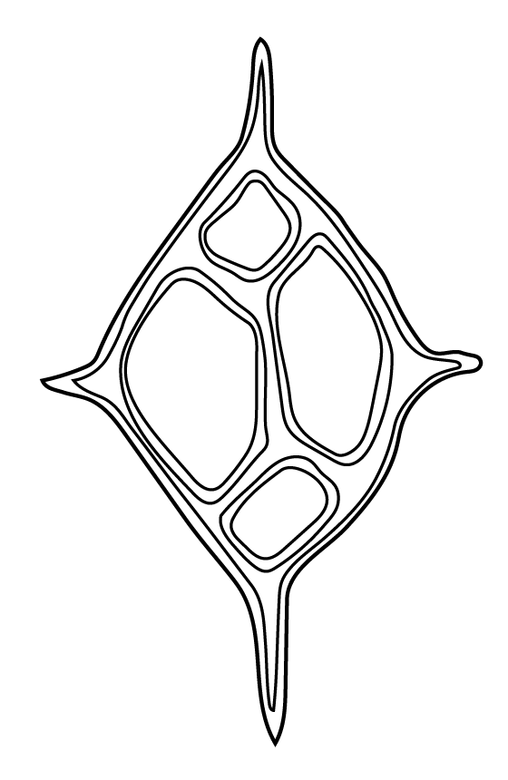 8 silico